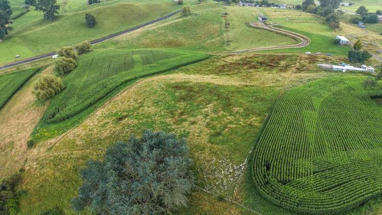 Lot Lot 4 Tapapa Road West Tirau_11