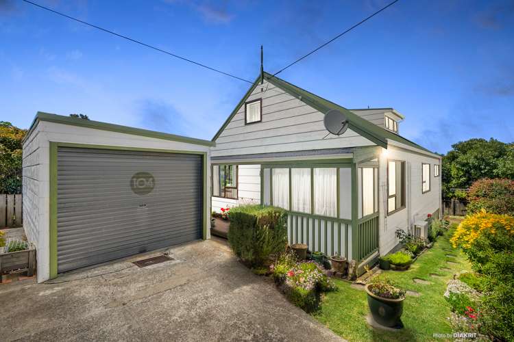104 Tauhinu Road Miramar_0