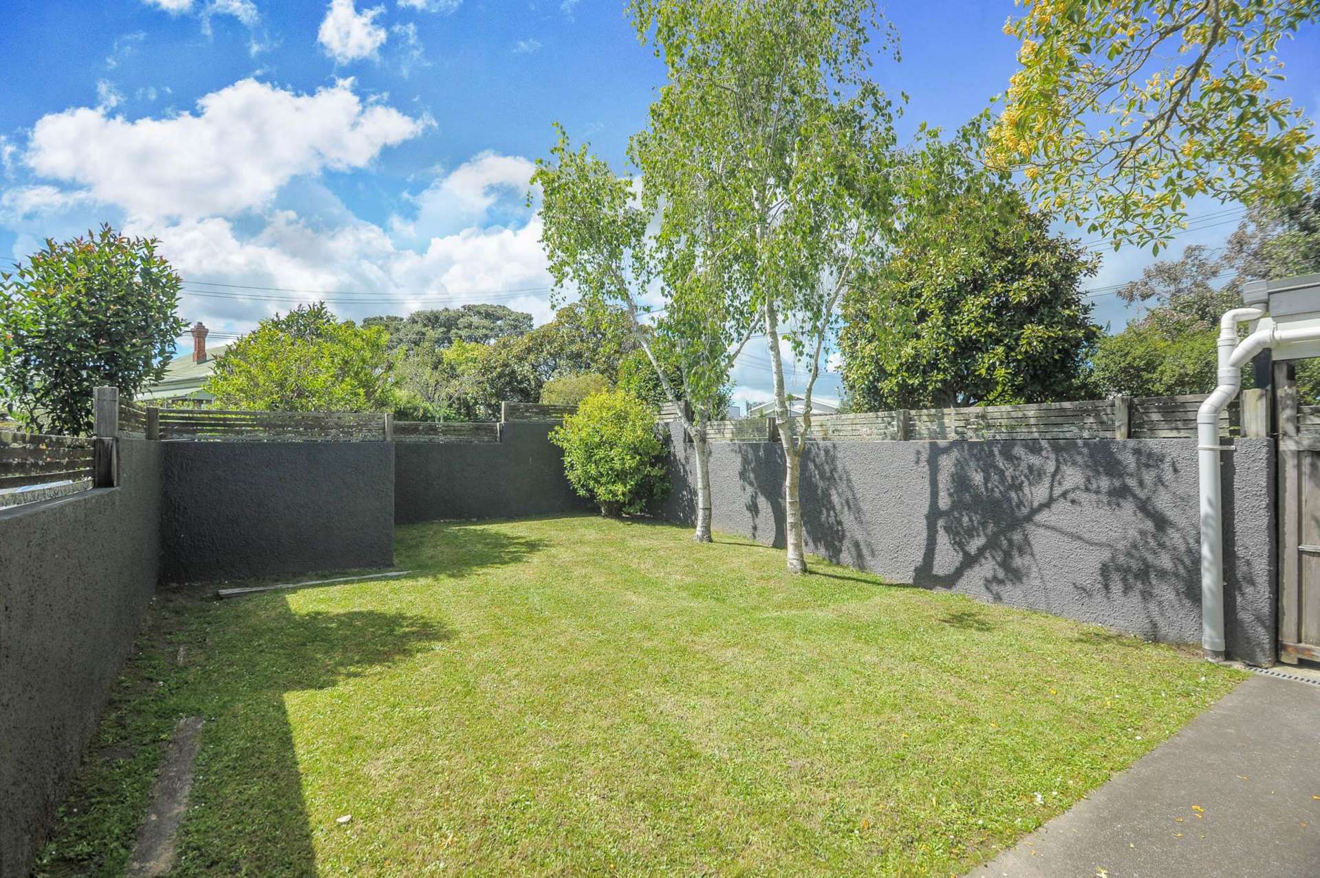 2/2 Mountain View Road Western Springs_0