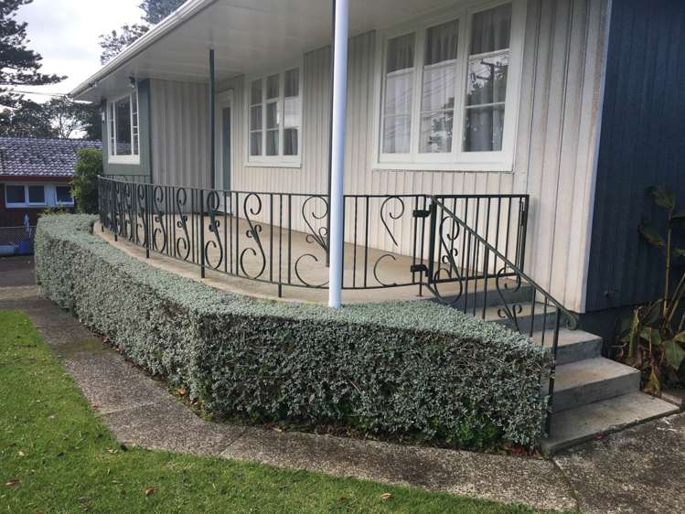 183 Campbell Road Greenlane_10