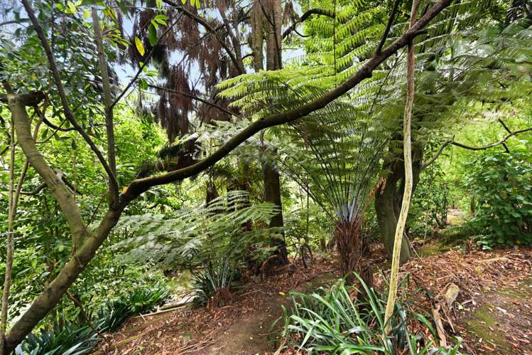 27 Greta Street Glenview_23