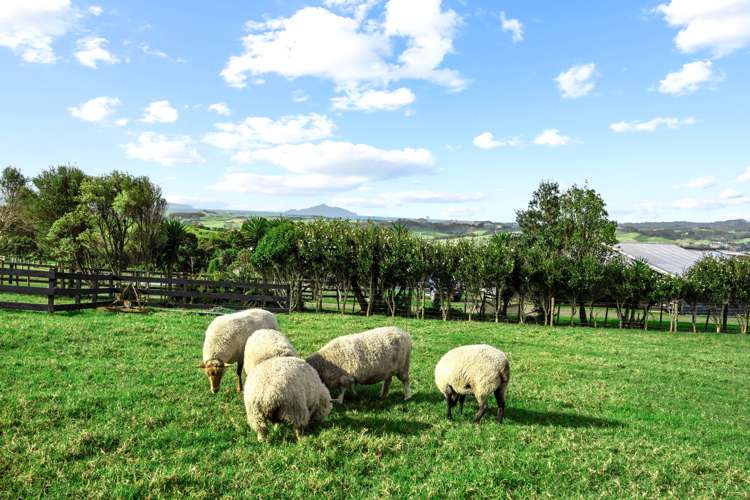 325 Brooks Road Waipu_31