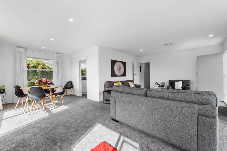 10b Willmott Place Springfield_5