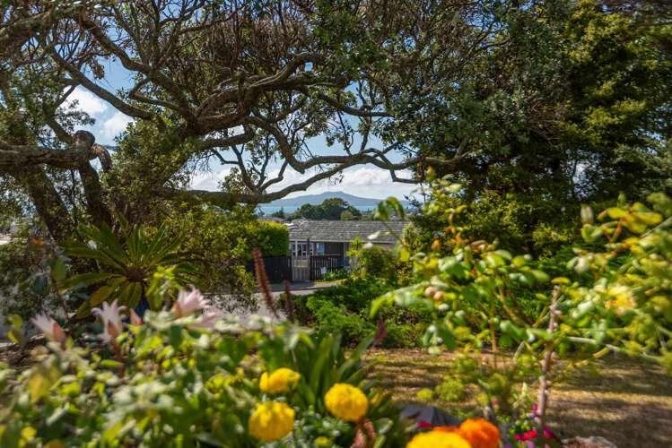 13 Windsor Place Windsor Park_35