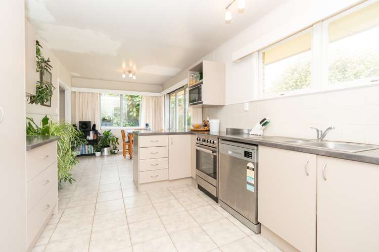 6 Thomson Avenue Dinsdale_6