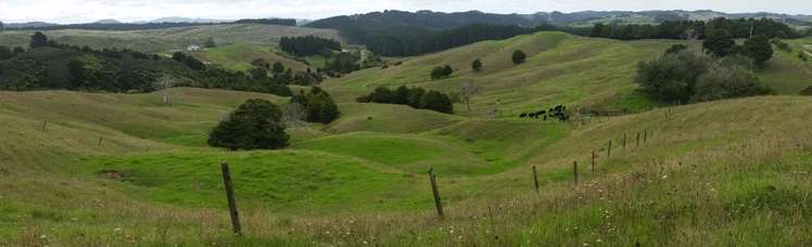 127c Oruawharo Road Topuni_1