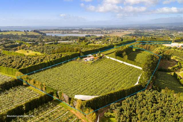 New to Market – Kiwifruit Orchard Opportunity