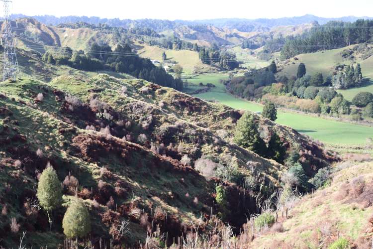 4869 Ohura Road Pohokura_26