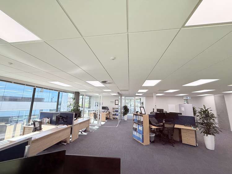 42 Tawa Drive Albany_10