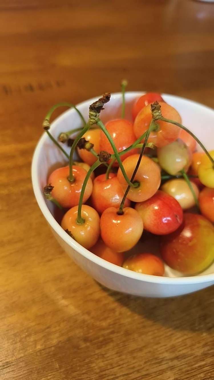 33 Grimsby Grove Wainuiomata_9