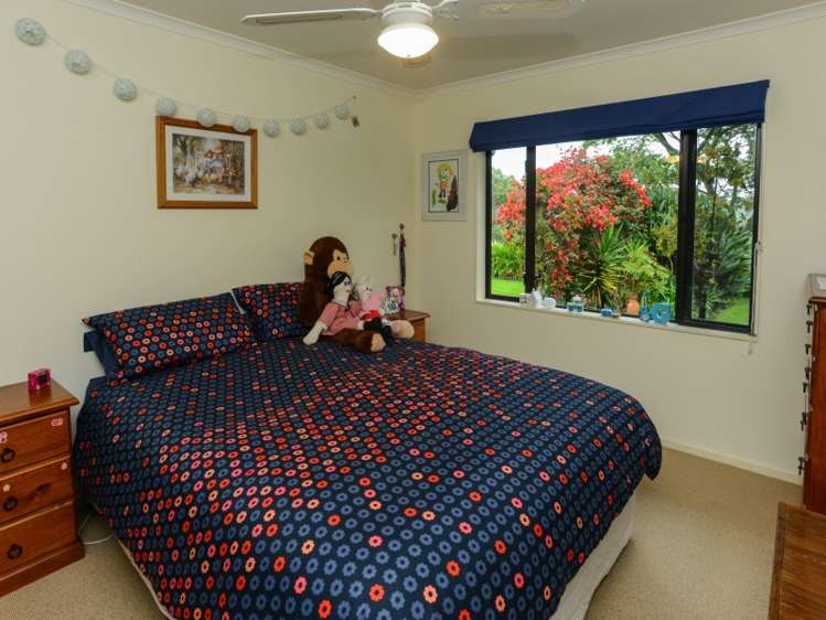 184 Breckenridge Road Puketapu_12