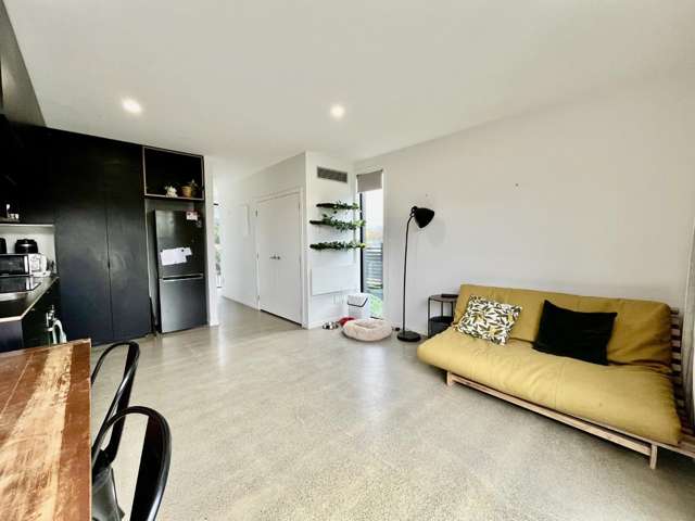  A/431 Jackson Street Petone_3