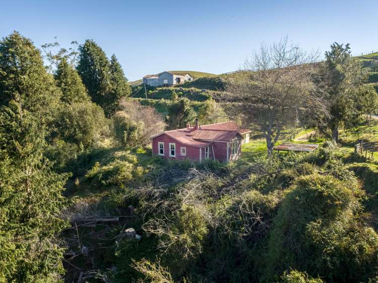 593A Kaka Amu Road Masterton_9