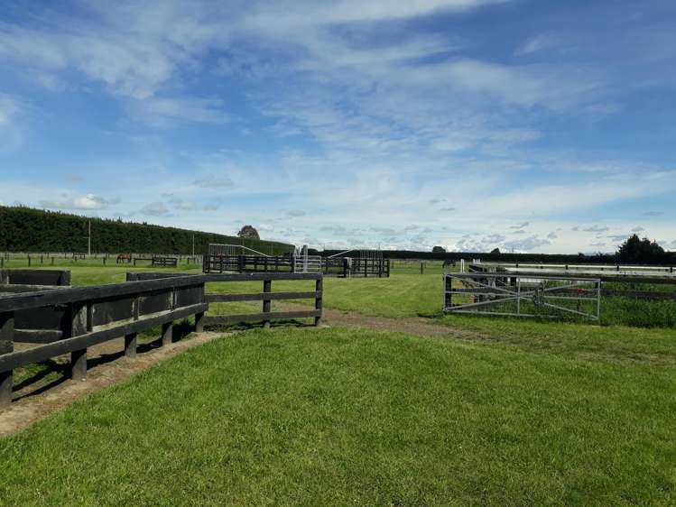 672 Highfield Road Burnham_31