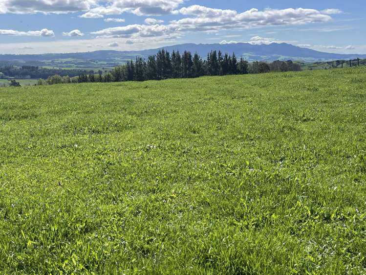 481 Honikiwi Road RD3 Otorohanga_22