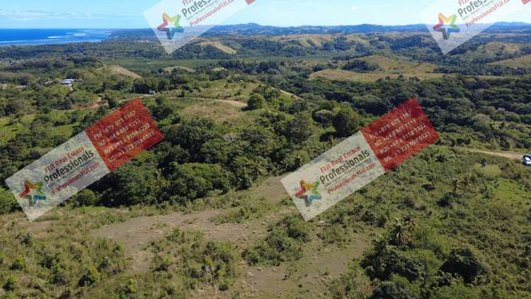 Address withheld Sigatoka_9