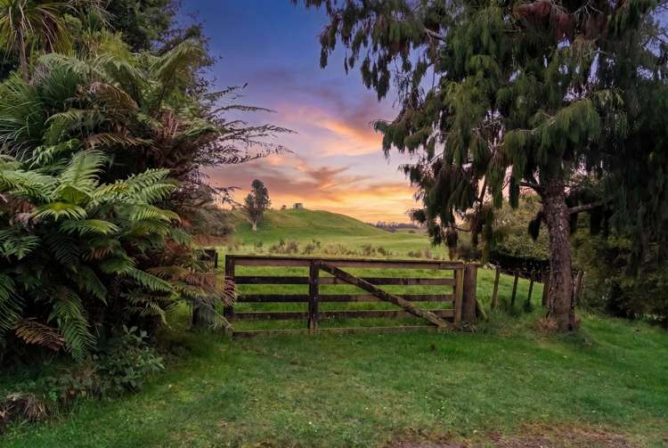 585 Tauranga Direct Road Hamurana_11
