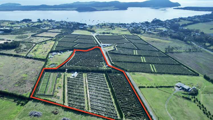 65 Elingamite Drive Pukenui_0