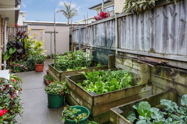 59b Puriri Road Pukekohe_4