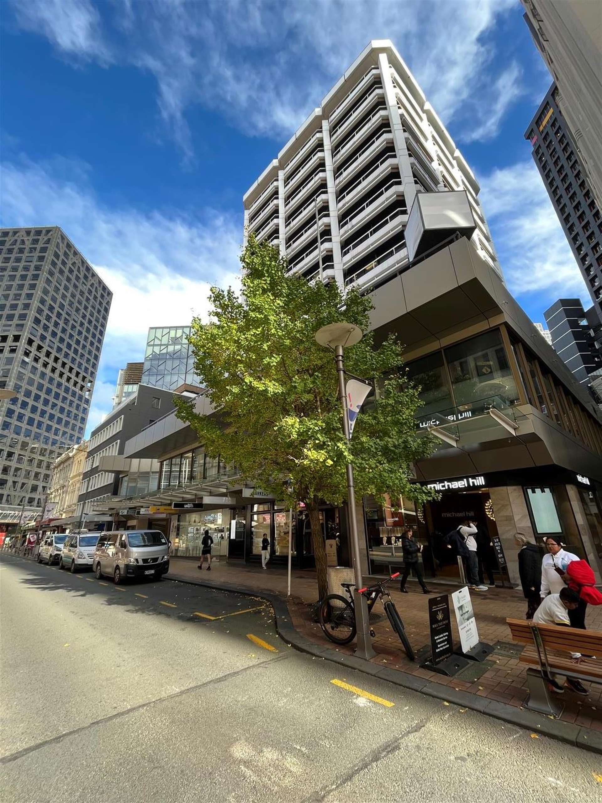 PL4/342 Lambton Quay Wellington_0