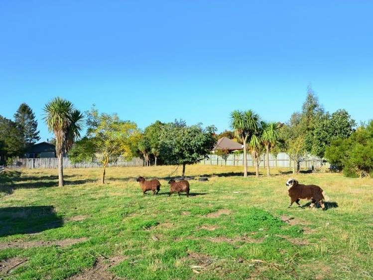 75 Bangor Road Darfield_19