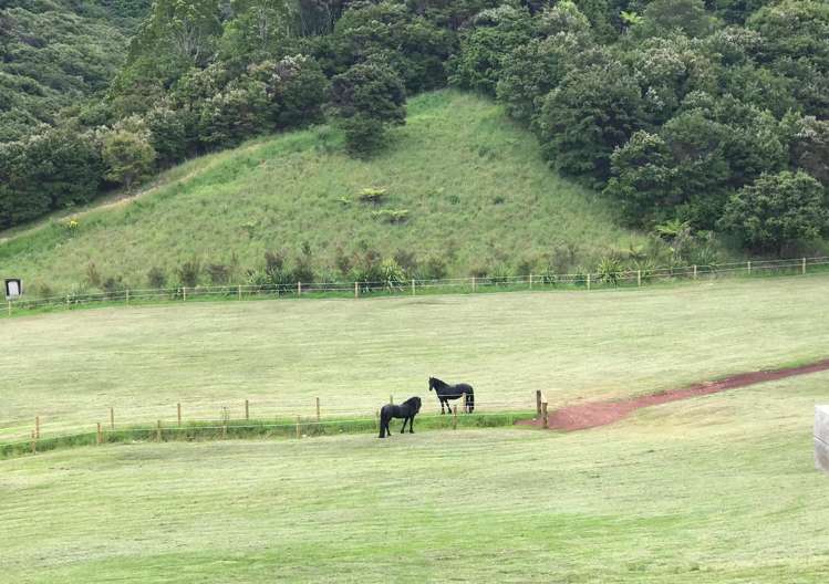 120 Robert Hastie Drive Mangawhai_44