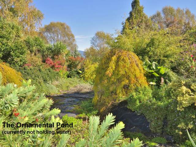 99 Clifton Road Kahurangi National Park_4