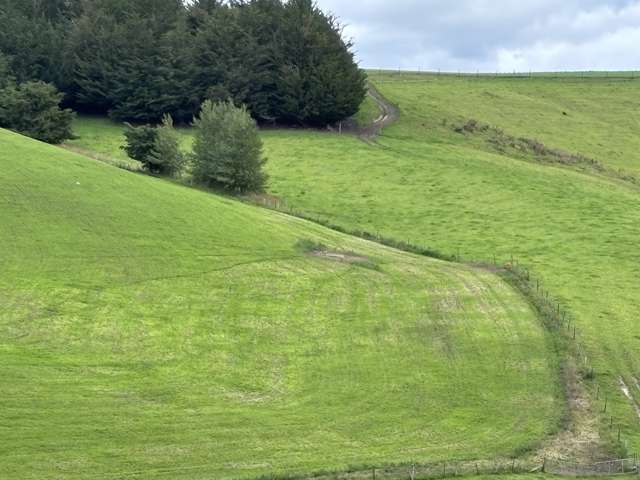 148 Tapui Homestead Road Oamaru_3