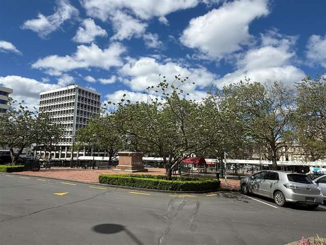 Address withheld Central Dunedin_1