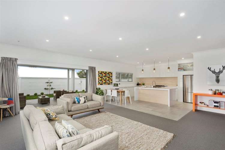 41 Mcmaster Street Greytown_0