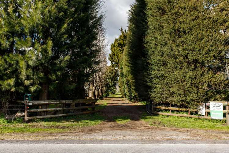343 Western Drain Road Edgecumbe_7