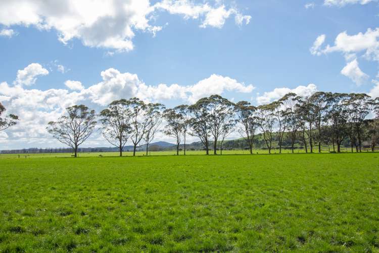 647 Te Kowhai Road Ruawai_11