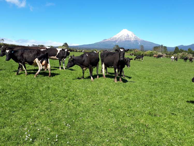 1971 Egmont Road Kaimiro_18