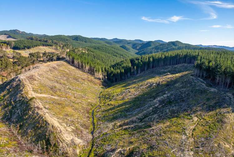 Lot 2 Kaiwhata Road Te Wharau_8