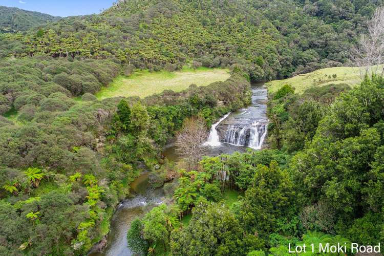 Lot 1 Moki Road, Tahora Taumarunui_7