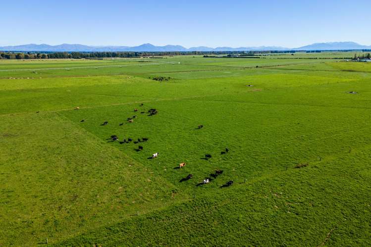 361 Poplar Road Ashburton_5