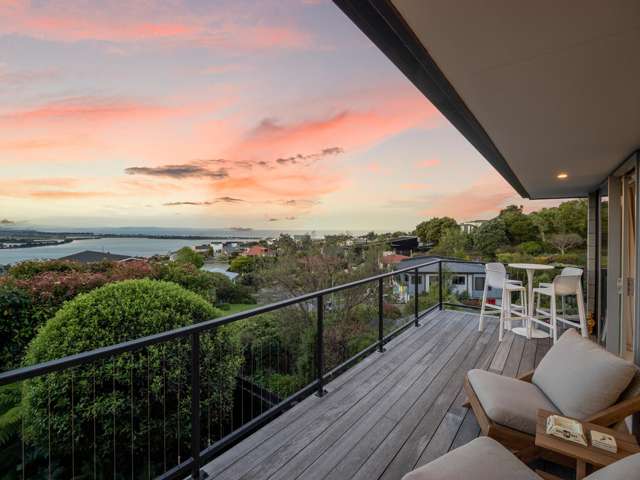 137 Soleares Avenue Mount Pleasant_2