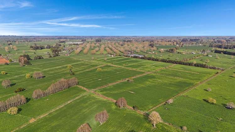 84 Goodwin Road Ohaupo_10