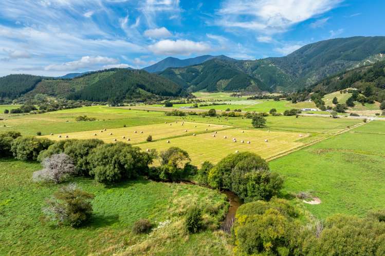 State Highway 1 Koromiko_14