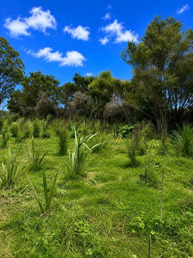1170 Kaiwaka-Mangawhai Road Mangawhai_3