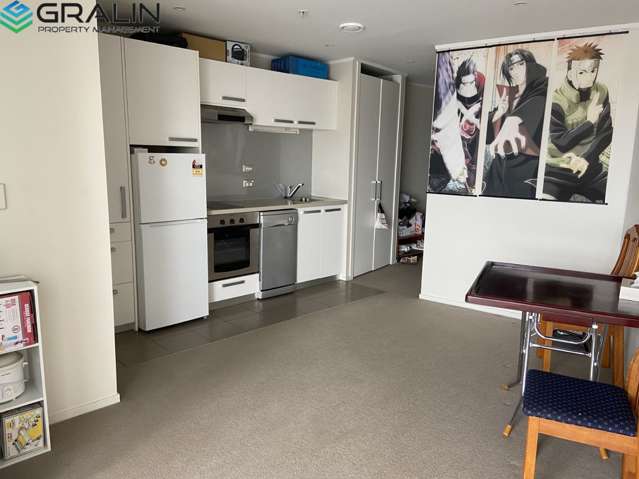 13e/156 Vincent Street Auckland Central_1