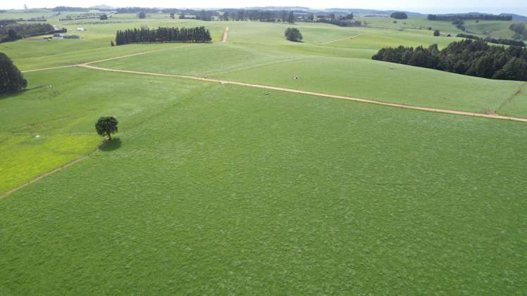 388 Matauri Bay Road Kaeo_22