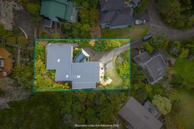 5 Tree Fern Trail_2
