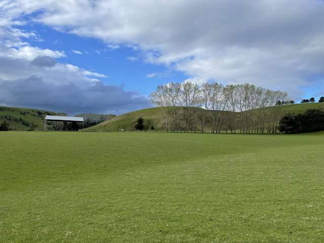 8 Munro Road Lawrence_4