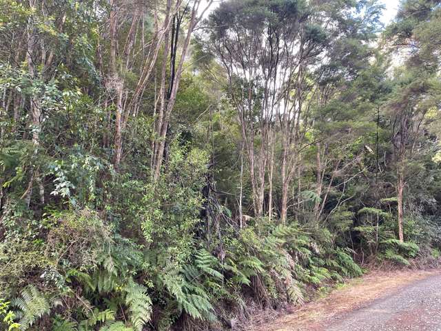 Lot 4 Gates Way Totara North_2