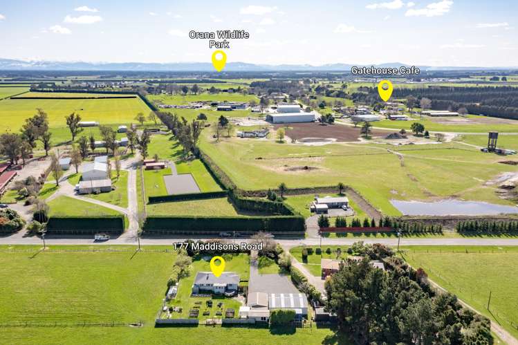 177 Maddisons Road Templeton_17