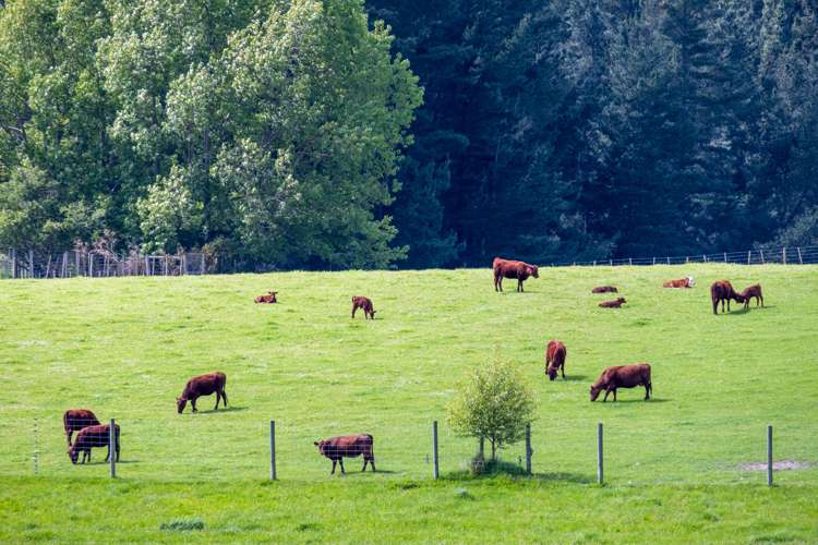 282 Woodside Road Geraldine_11