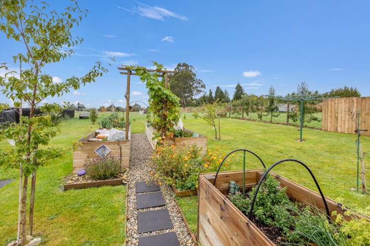 62 Bushyhill Street Tapanui_8