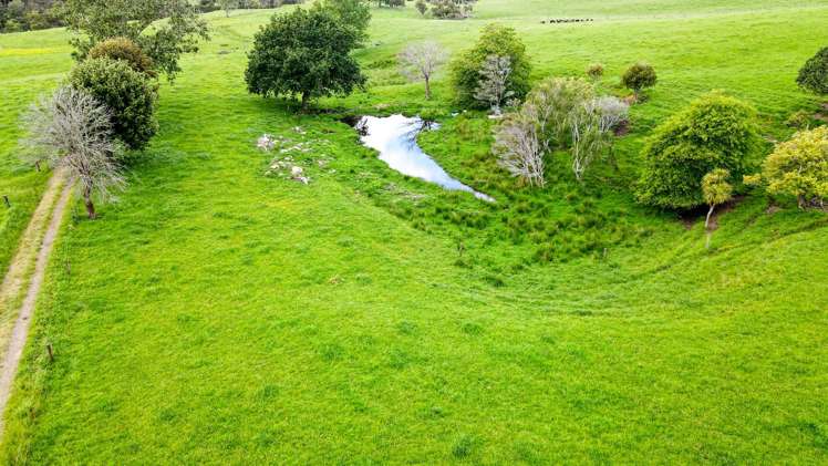 1177c East Coast Road Kaiaua_6