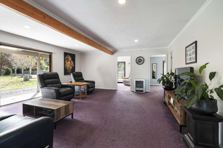 363 Brandon Hall Road Bulls_10